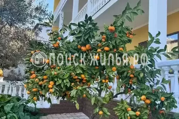 Гостевой дом «Мэри», Новый Афон Гостевой дом «Мэри», Новый Афон