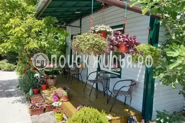 «У Вероники», Лермонтово «У Вероники», Лермонтово