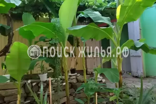 Дом под ключ «Валентина», Дивноморское Дом под ключ «Валентина», Дивноморское