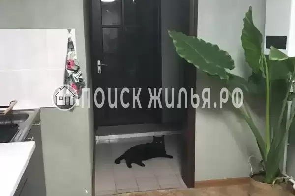 «На Пограничников», Судак