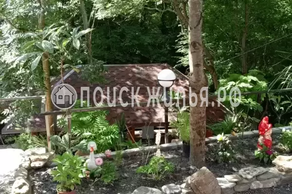 «More-Les», Джубга