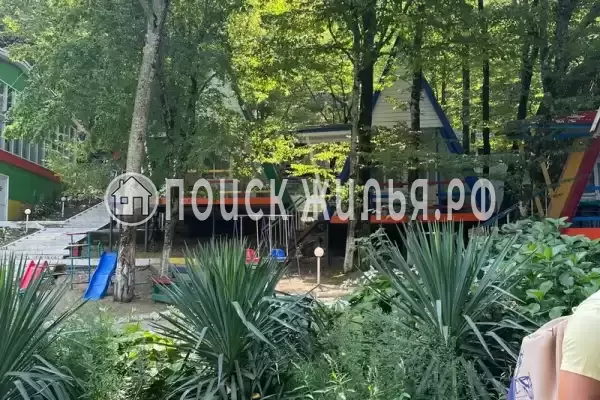 «Джамп», Бжид