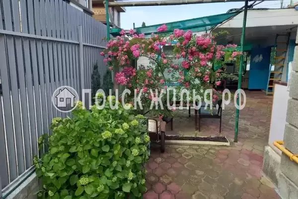 Частный сектор «На Фестивальной», Дагомыс