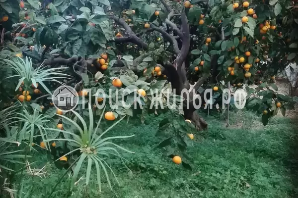 Дом под ключ «Морской бриз», Приморское