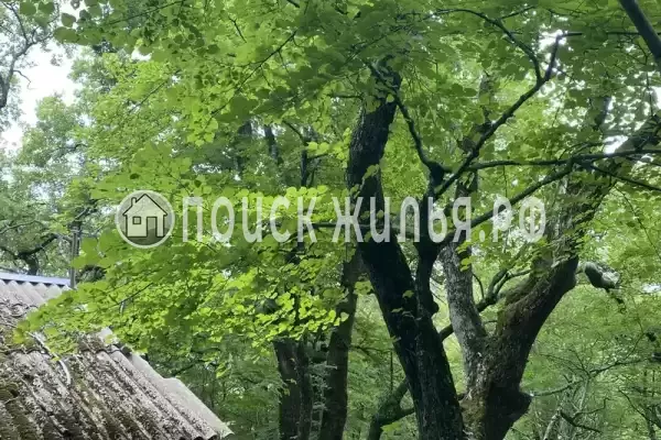 База отдыха «Затерянный рай», Бухта Инал