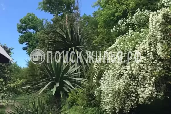 Частный сектор «Комната под ключ в Лидзаве», Пицунда Частный сектор «Комната под ключ в Лидзаве», Пицунда