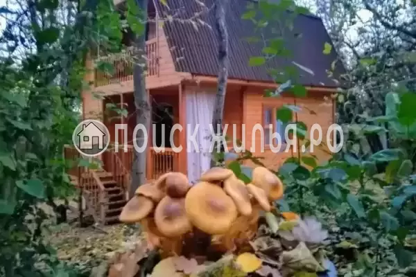 Частный сектор «Домик под клëнами», Бетта Частный сектор «Домик под клëнами», Бетта