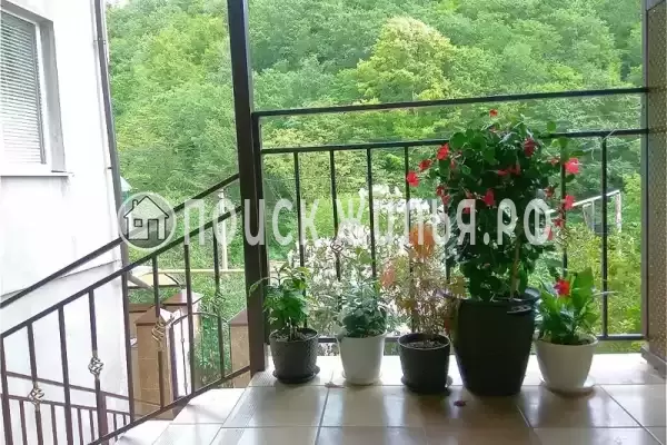 «Северянка», Лазаревское «Северянка», Лазаревское