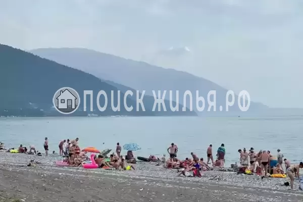 Квартира, Горького, д.43, Цандрипш