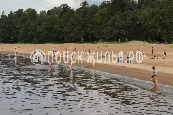 Гостевой дом «У Риммы», Цандрипш