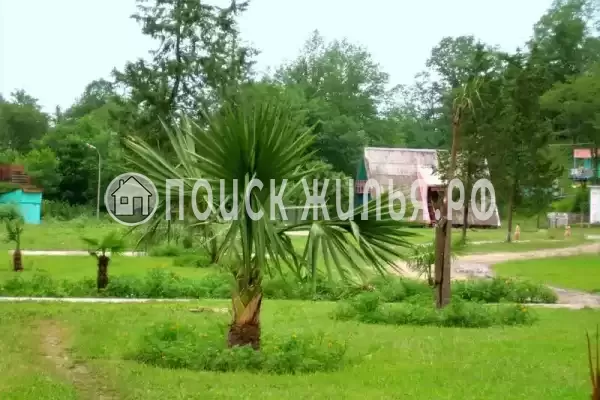 База отдыха «Золотая бухта», Пицунда