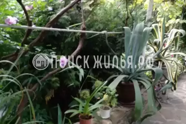 «Зелёный дворик», Архипо-Осиповка «Зелёный дворик», Архипо-Осиповка