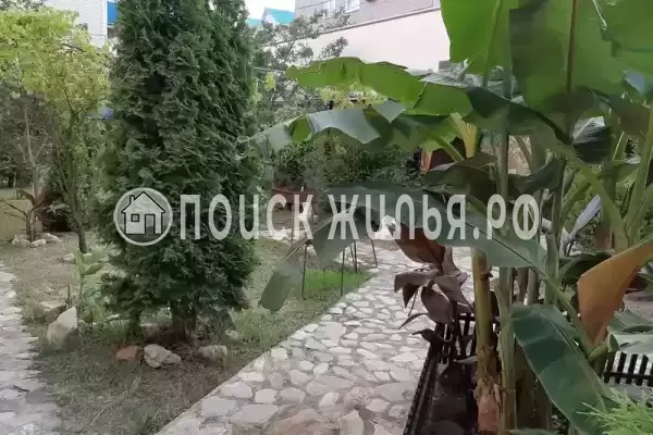 «Орион», Ольгинка