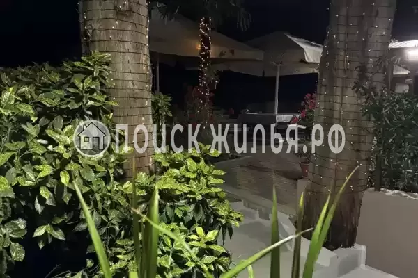 «Центральный», Сочи