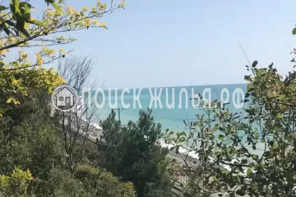 «Зара», Лазаревское