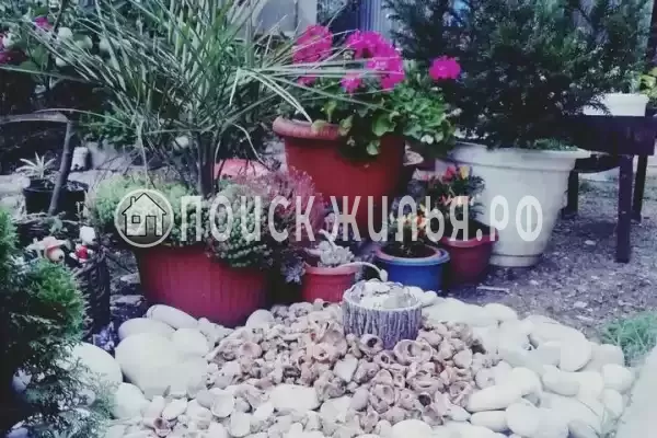 «Зара», Лазаревское