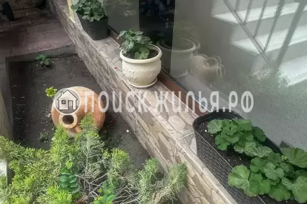 «Диана», Геленджик