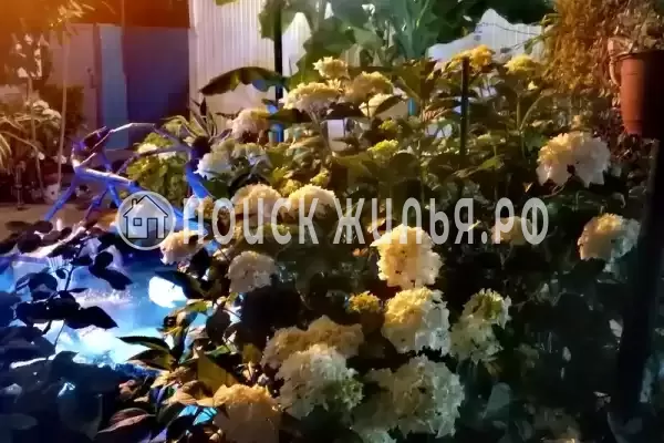 «У моря», Лазаревское «У моря», Лазаревское