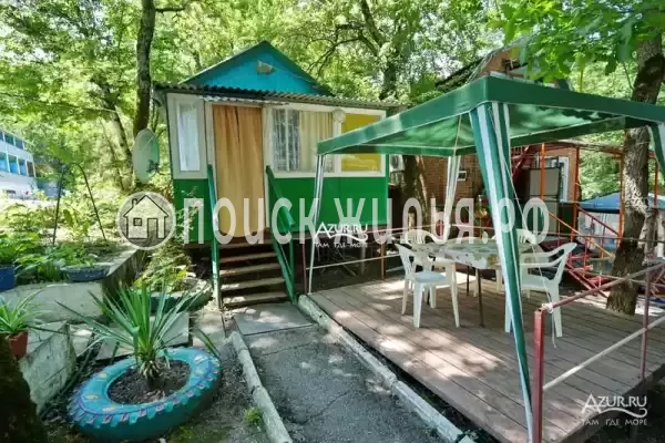 «Экспресс», Бжид