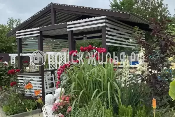 «Белый Кот», Кучугуры «Белый Кот», Кучугуры