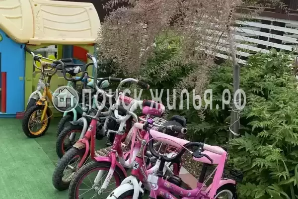 «Белый Кот», Кучугуры «Белый Кот», Кучугуры