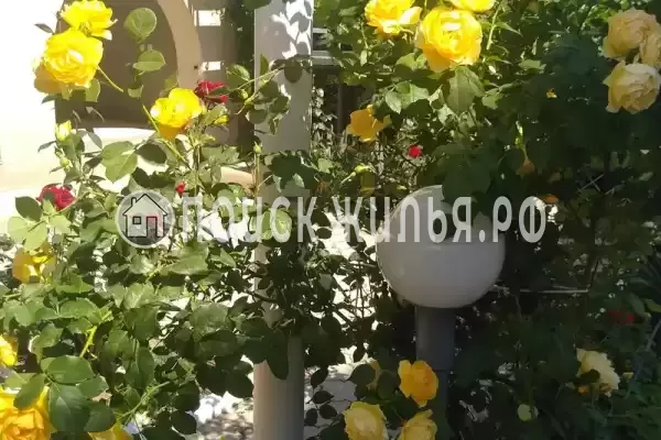 Частный сектор «На Цветочной», Саки