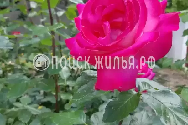 Дом под ключ, Боенский переулок, д.4, Феодосия