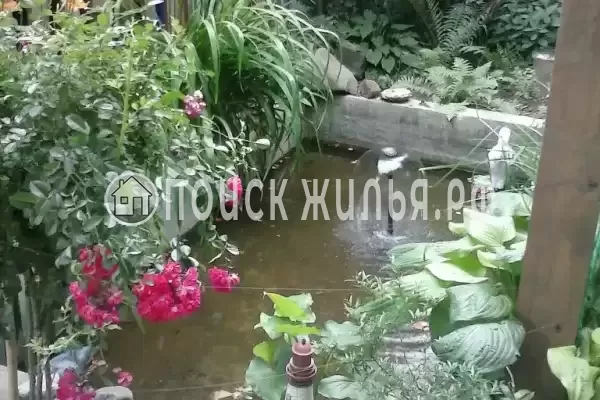 Частный сектор «Магнолия», Архипо-Осиповка Частный сектор «Магнолия», Архипо-Осиповка