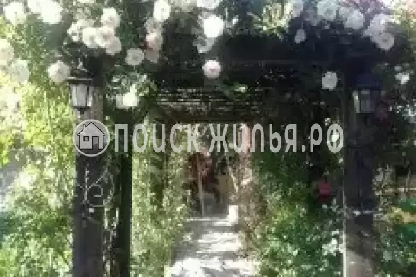 Частный сектор «Магнолия», Архипо-Осиповка Частный сектор «Магнолия», Архипо-Осиповка