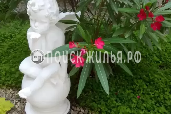 «Бирюзовая бездна», Лазаревское