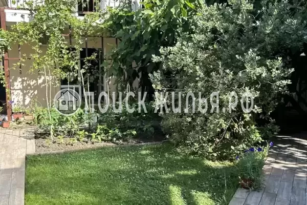 «Mila», Агой «Mila», Агой