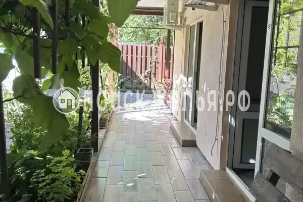 «Mila», Агой «Mila», Агой