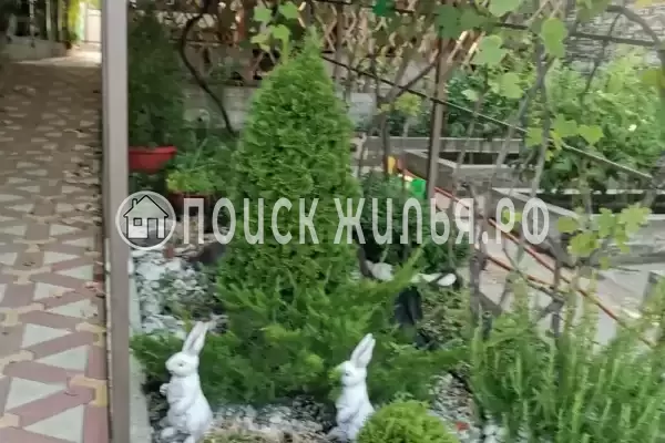 «На дунайской», Совет-Квадже