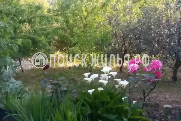 «У Елены», Лоо