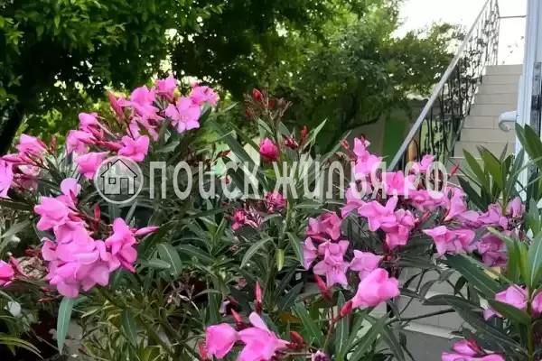 Гостевой дом «Лагуна», Курортное Гостевой дом «Лагуна», Курортное