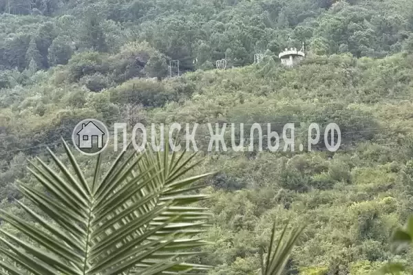 Частный сектор «Эко-Домики у Абони», Гагра