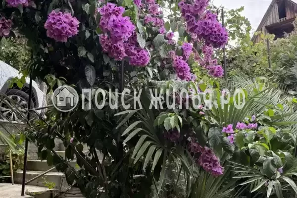 Частный сектор «Эко-Домики у Абони», Гагра