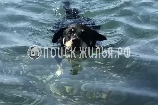 Квартира «Сан Марино», Лазаревское