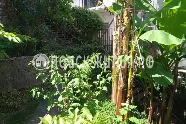 Апартаменты «На Красной», Сочи