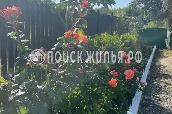 Частный сектор «Домик на Степной», Пицунда