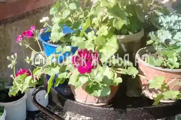 Частный сектор «Домик на Степной», Пицунда