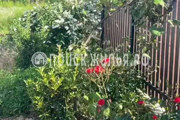 Частный сектор «Домик на Степной», Пицунда