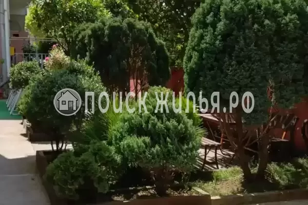 Частный сектор «Черноморская жемчужина», Адлер Частный сектор «Черноморская жемчужина», Адлер