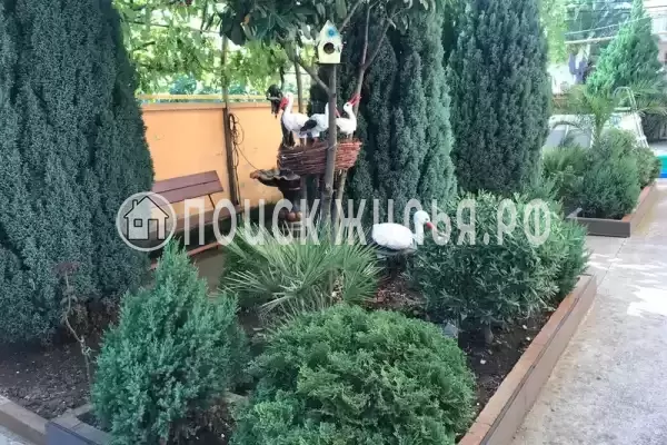 Частный сектор «Черноморская жемчужина», Адлер Частный сектор «Черноморская жемчужина», Адлер