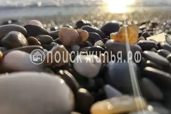 «Уютный», Николаевка