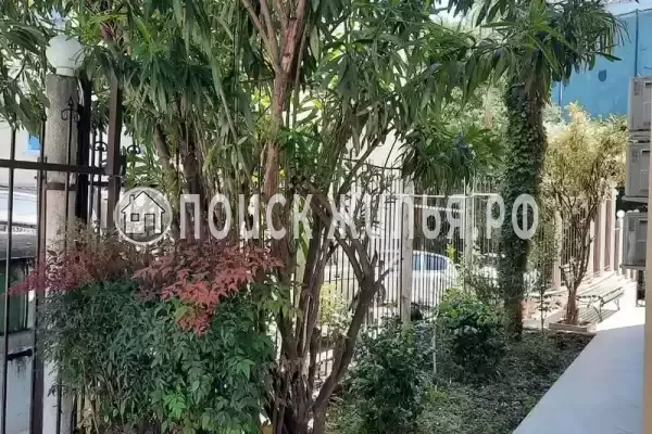 «Армара», Сочи «Армара», Сочи