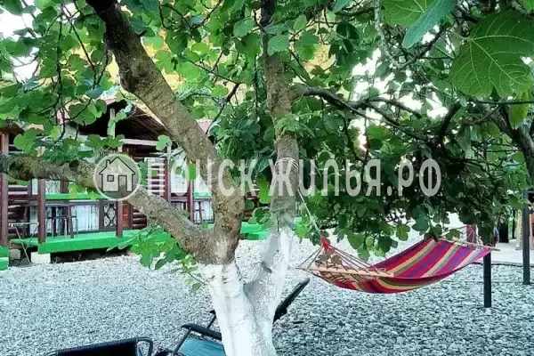 База отдыха «Инь-Ян», Пицунда