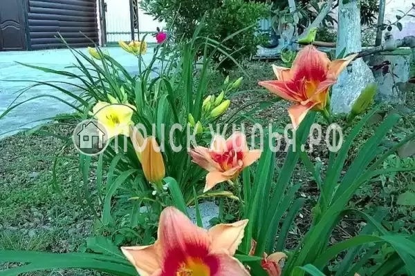 База отдыха «Инь-Ян», Пицунда