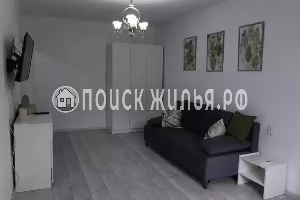 Квартира, Центральная, д.56, Головинка