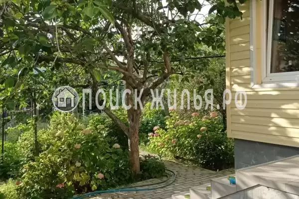 «Любушка», Лазаревское